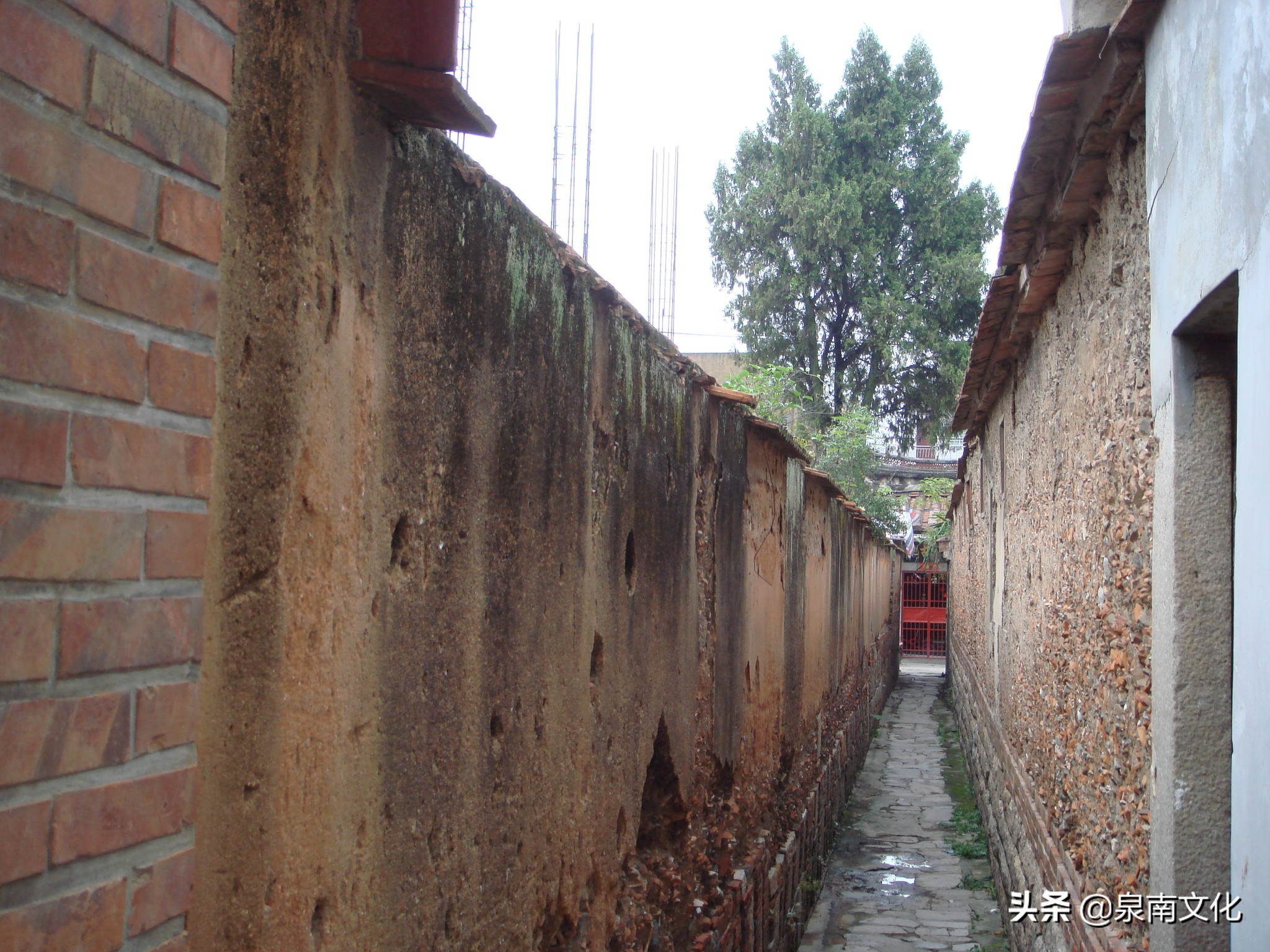 泉州中山路两侧巷道踏勘日记（三）：奎霞巷、会通巷、通政巷等