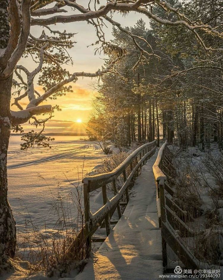 鐗╂崲鏄熺Щ閲夎壊涔嬪厜,鐗╂崲鏄熺Щ鍏ㄩ儴浣滃搧