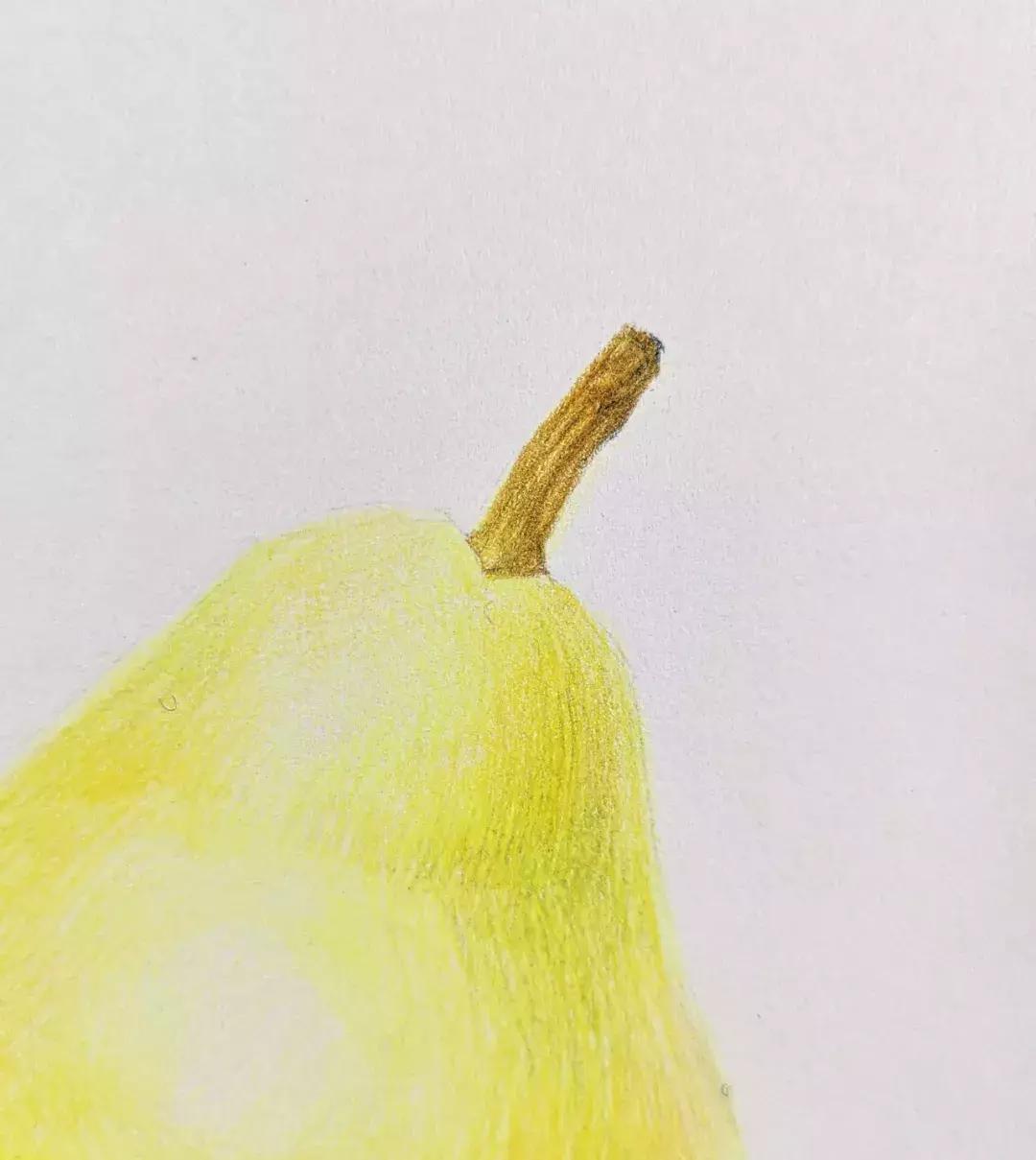 香梨彩铅画,彩铅肉肉的画法