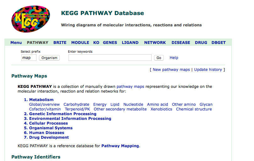 肠道菌群宏基因组,肠道微生物宏基因组检测有必要吗