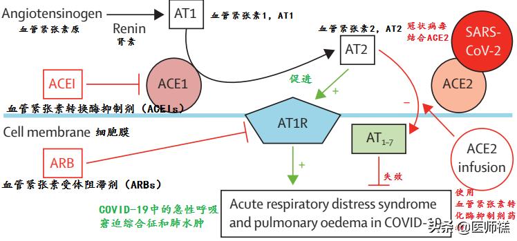 降压药新冠感染,降压药治新冠