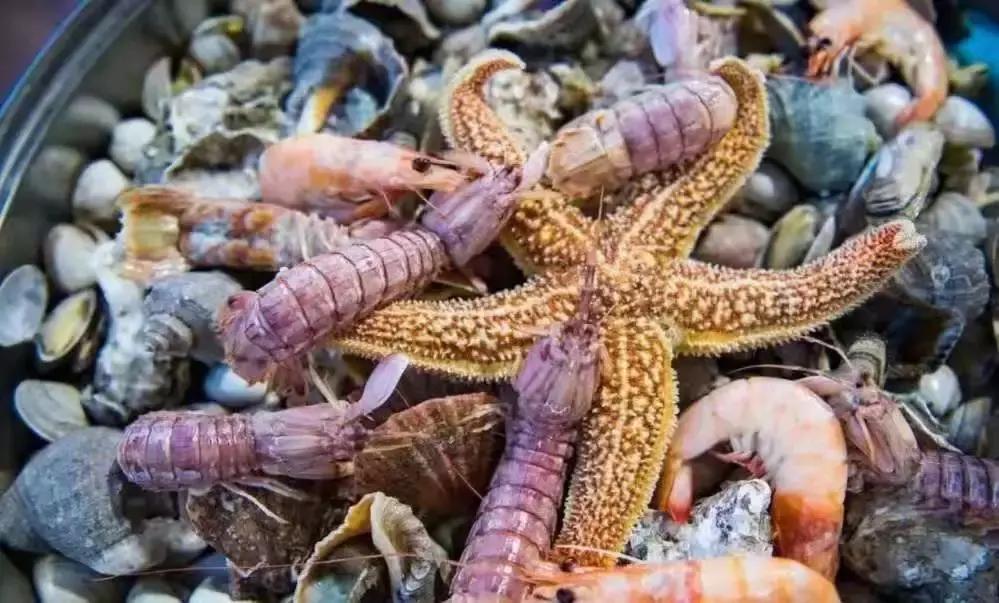 月圆中秋|来月坨岛度过难忘的中秋佳节吧！