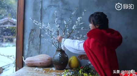 李子柒早期作品村姑女汉子形象,最美网红李子柒