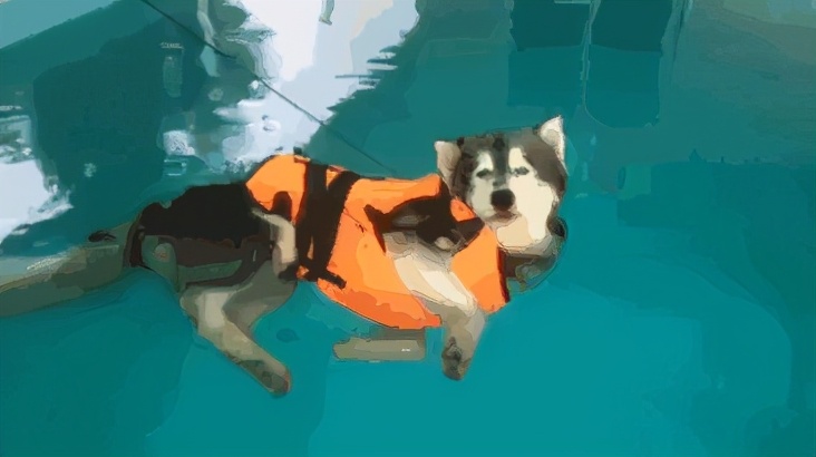 荒野健康蛋白粉科普,野外生存硬核科普