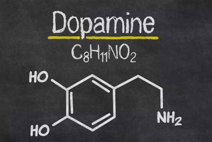 认识多巴胺和内啡肽,多巴胺教育孩子的秘诀
