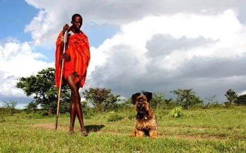 旅行100个冷知识,旅行冷知识500例