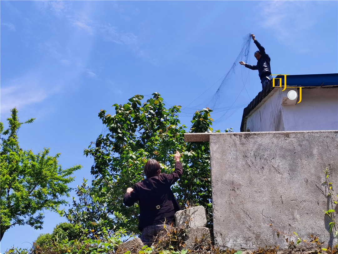 余姚四明山农家乐跟团游有吗,余姚市四明山高山布依农家乐