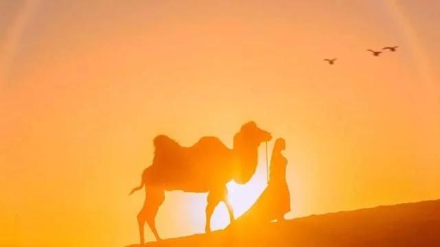 那些惊艳了外地人的甘肃美食,来到甘肃不可错过的地方美食