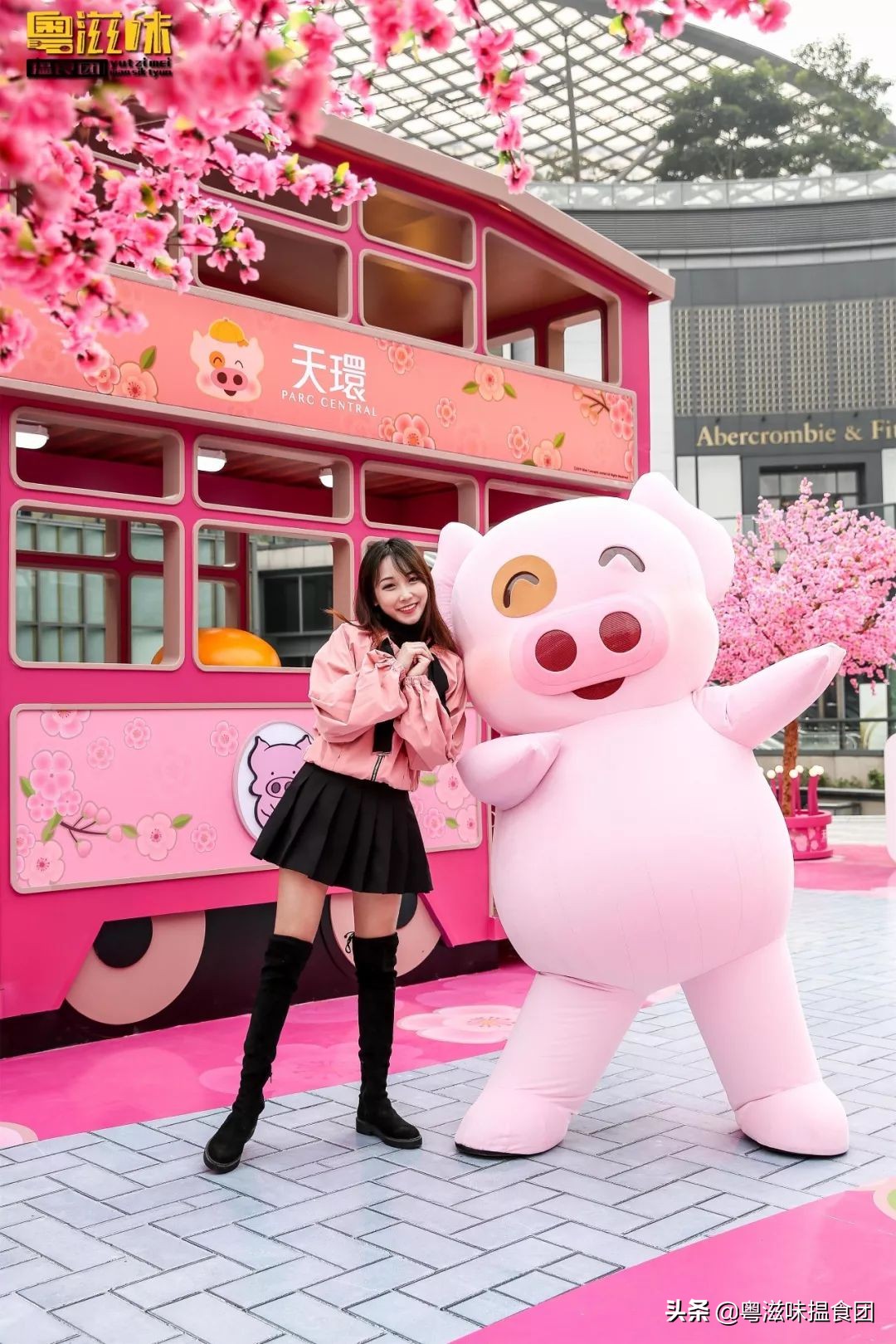 麦兜带你玩转江浙沪,麦兜潮玩