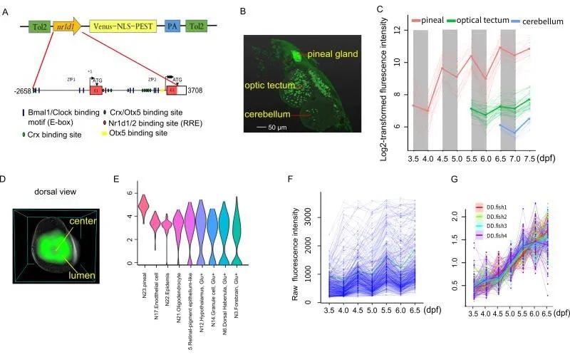 中科院神经所好不好,中科院神经所复试