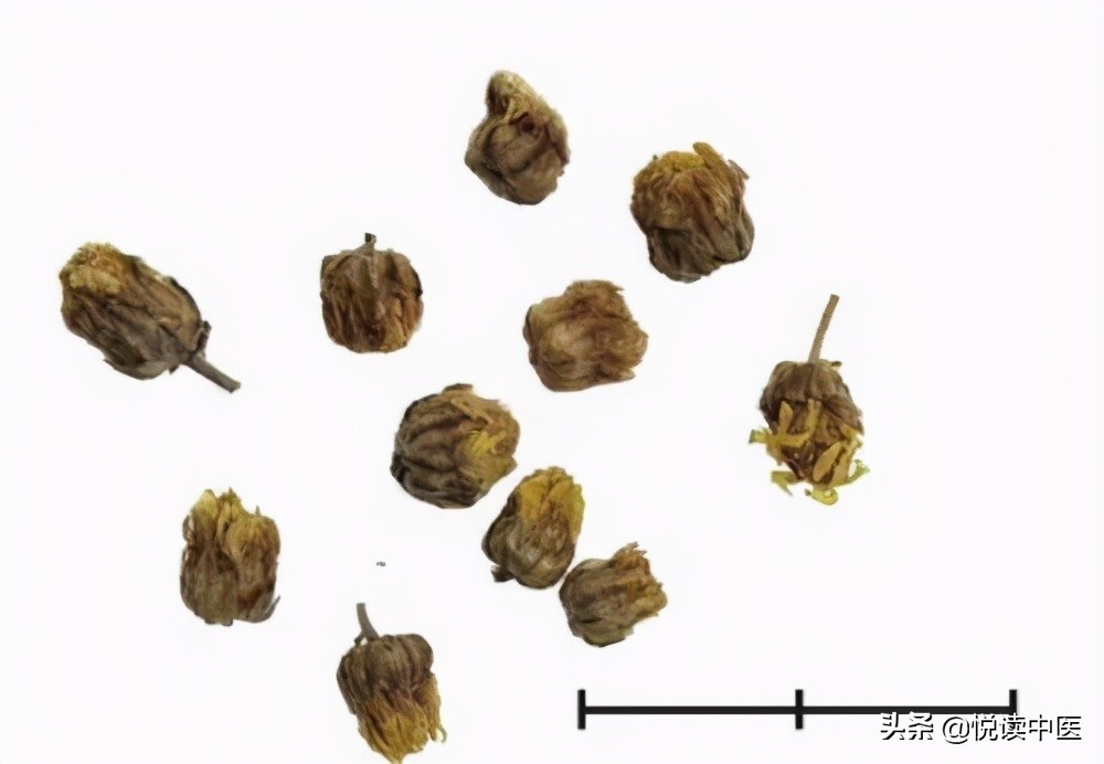 对女人好的药或保健品,对女人好的中药材有哪些