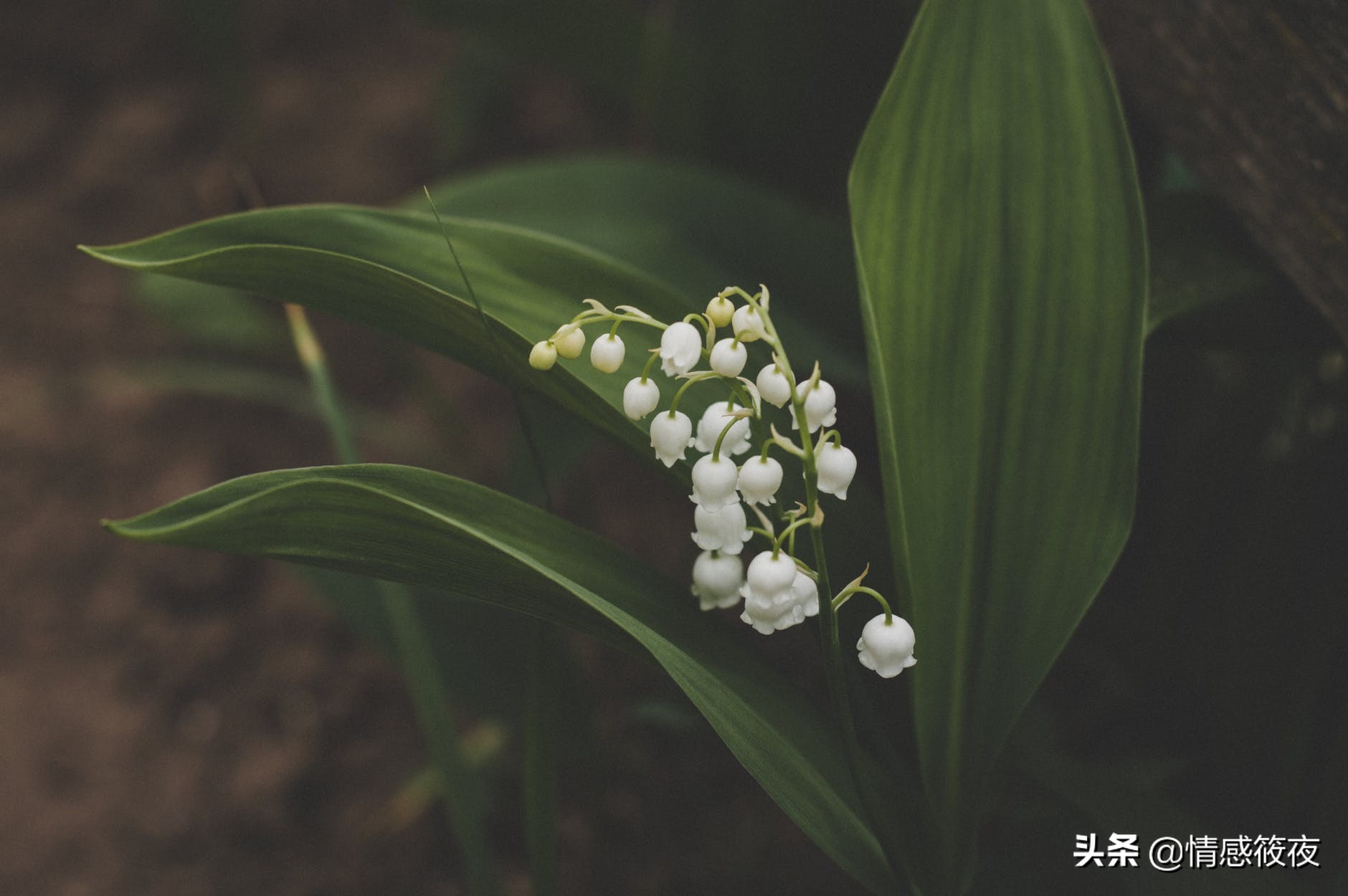 邻居关系怎么修复,与邻居发生矛盾如何处理