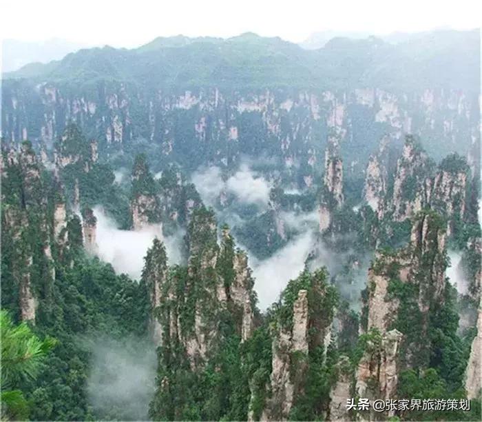 自由行张家界吃住旅游攻略,张家界旅游自由行详细攻略