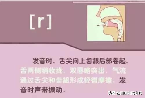 基础英语48个国际音标详解，赶紧来学习！