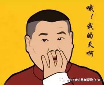 天音顶级车载音乐,雅马哈出过哪些乐器