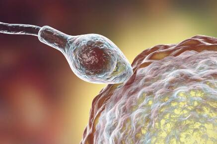 做试管婴儿复杂吗,去做试管婴儿女的该怎样做