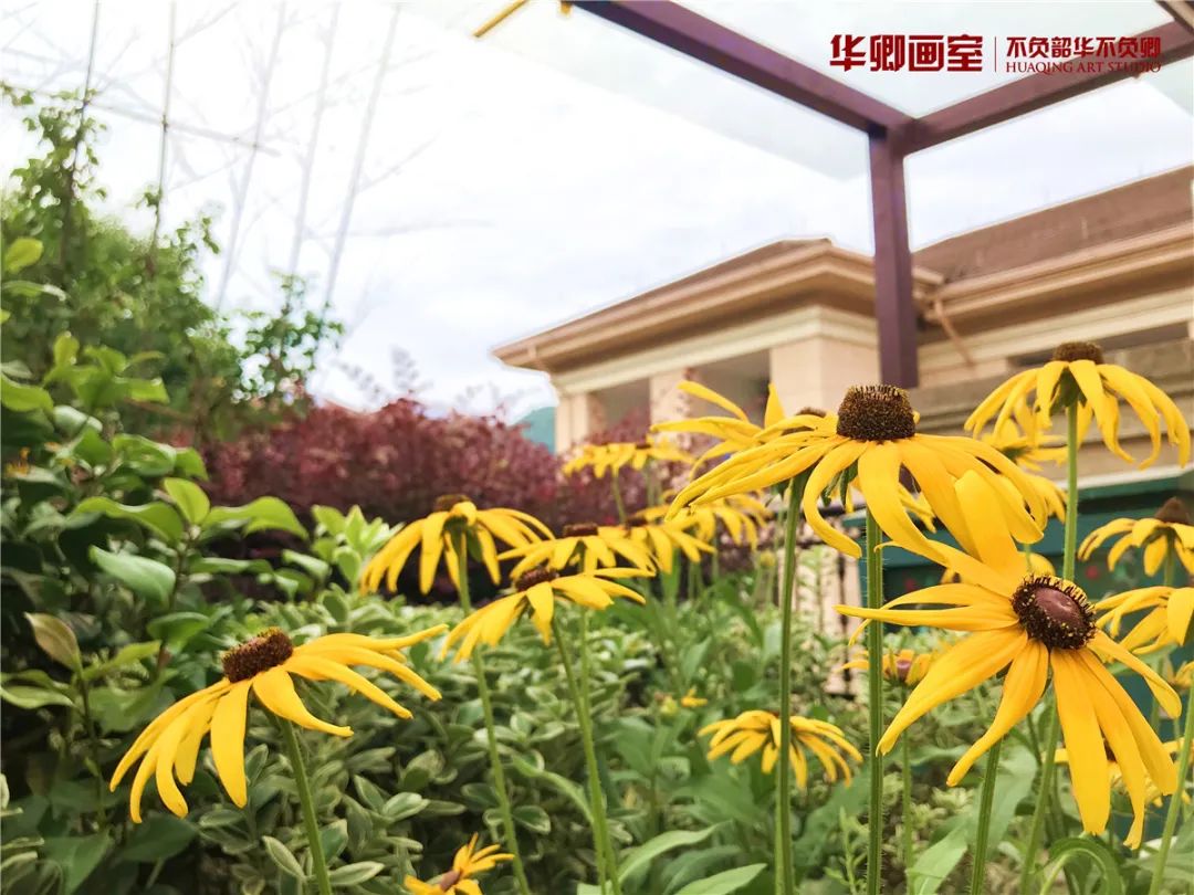 北京华卿画室一月多少钱,在北京华卿画室参加美术培训好吗