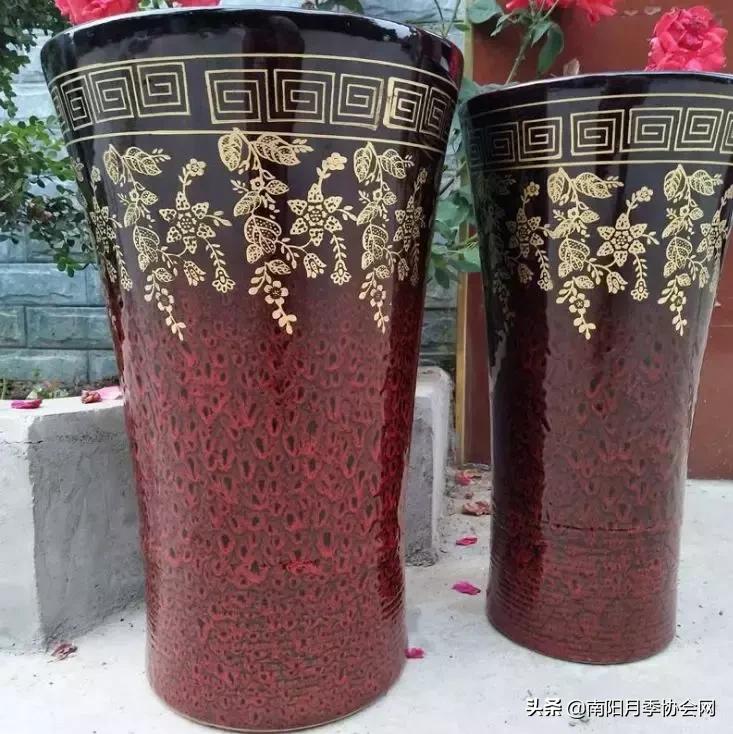 藤本月季多长时间浇一次水,月季地栽完多久浇第二次水