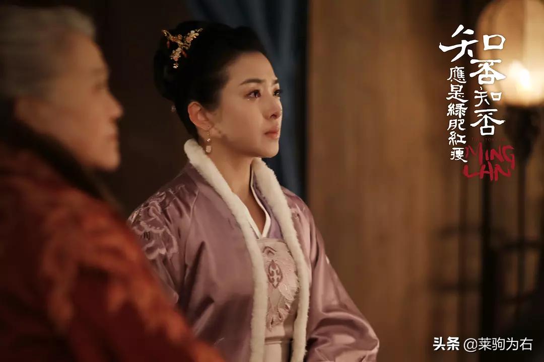 看知否知否学到什么东西,看知否应该懂得的道理