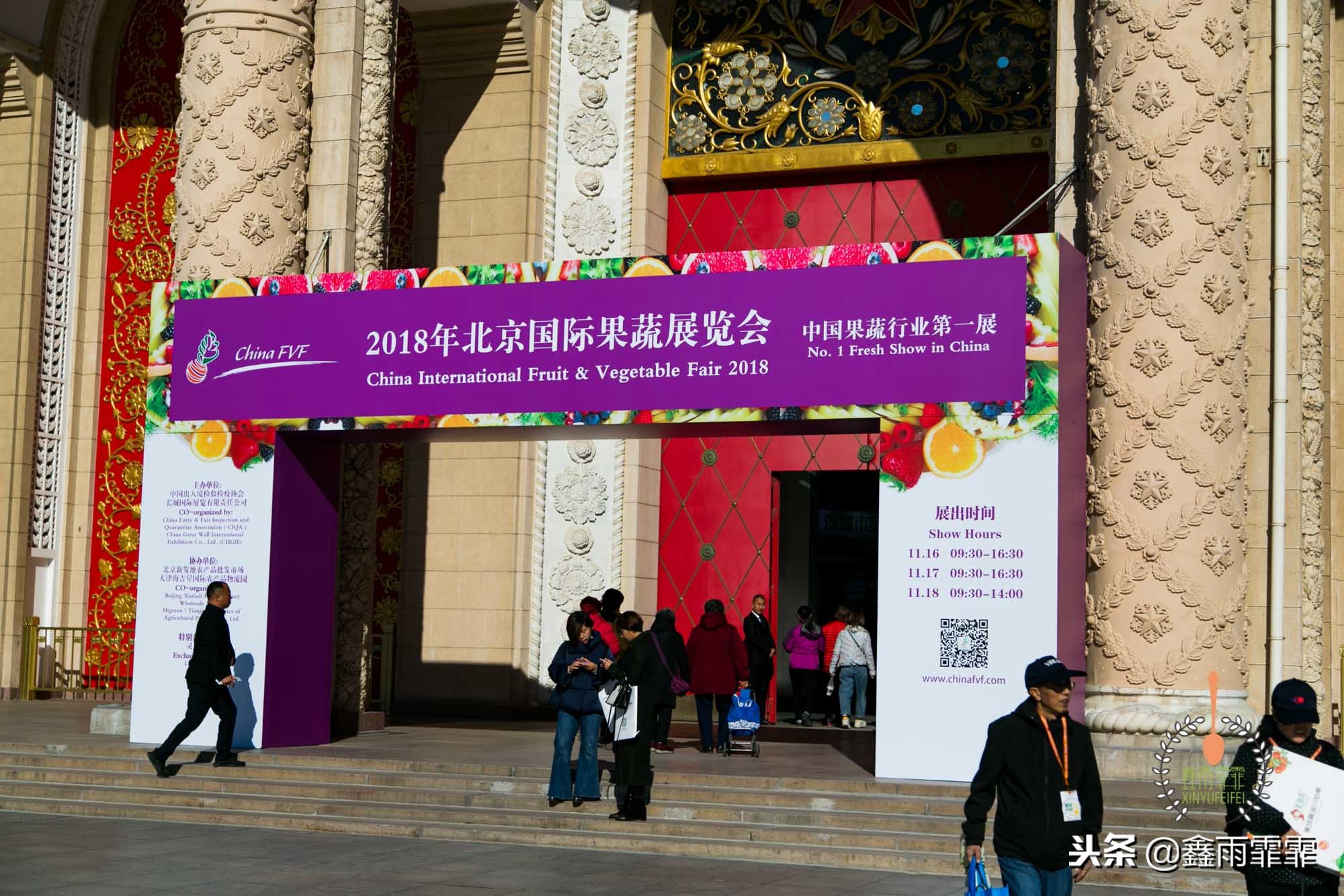 5万斤胡萝卜卖不出去,一斤胡萝卜能卖多少钱