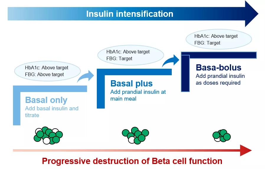 基础胰岛素治疗方案,母义明讲胰岛素抵抗的视频