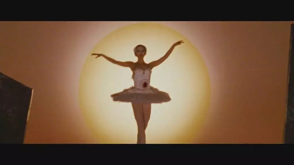 史上最漂亮的黑天鹅,全球最漂亮的一对黑天鹅