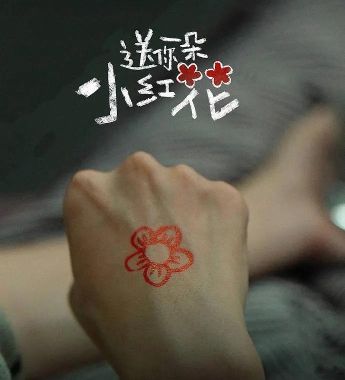 粑粑又立新功！灌一斤多肠道菌群，胖八斤