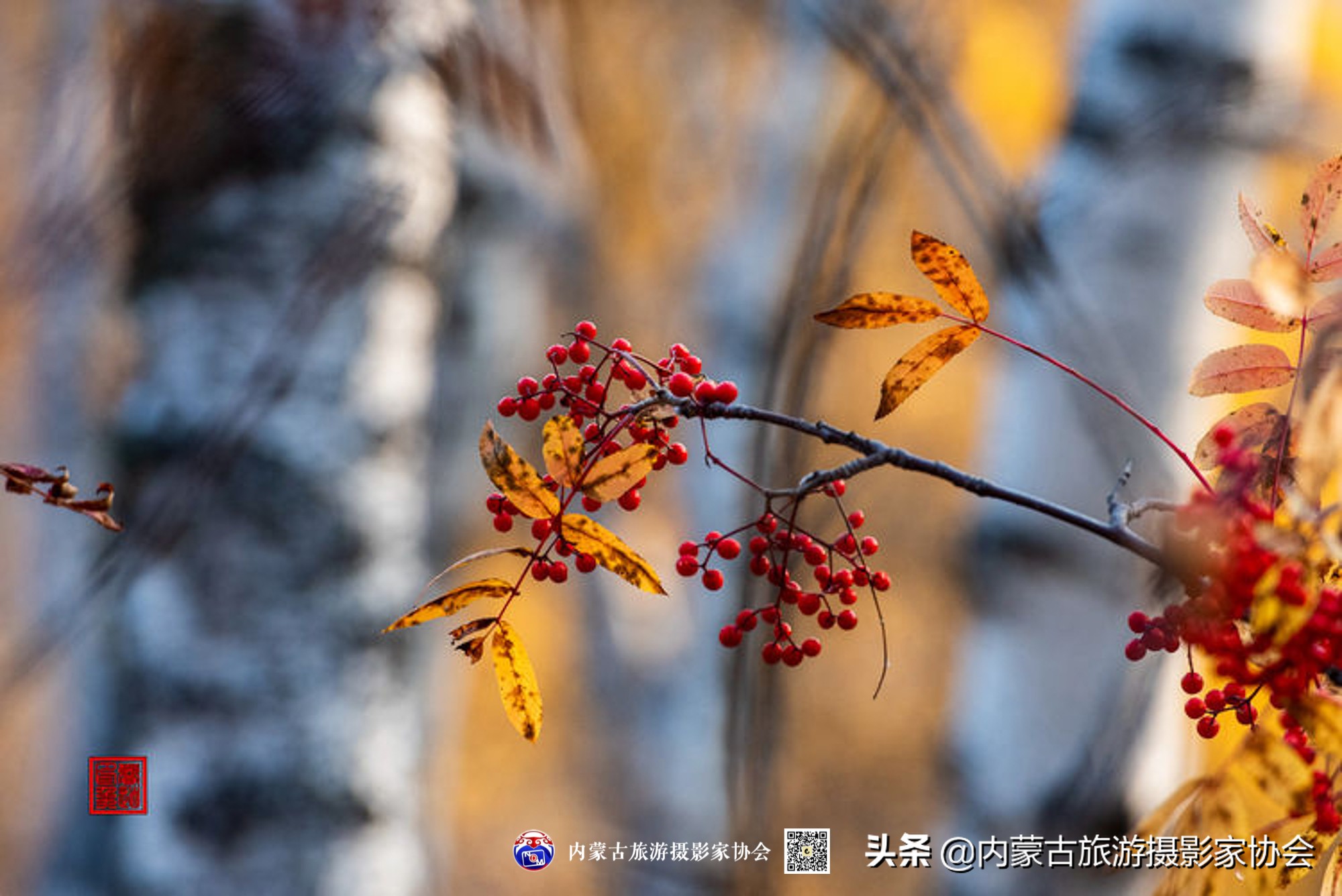 那山那水那滋味,那山那水那份爱