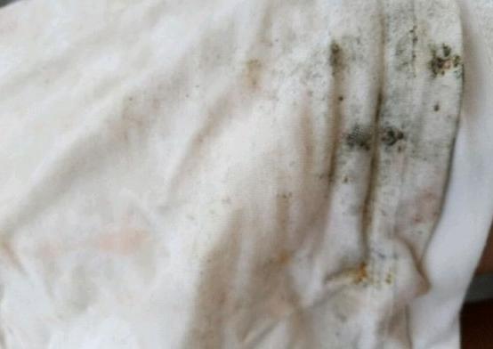 夏天晒衣服有苍蝇怎么办,夏天苍蝇太多怎么晾衣服