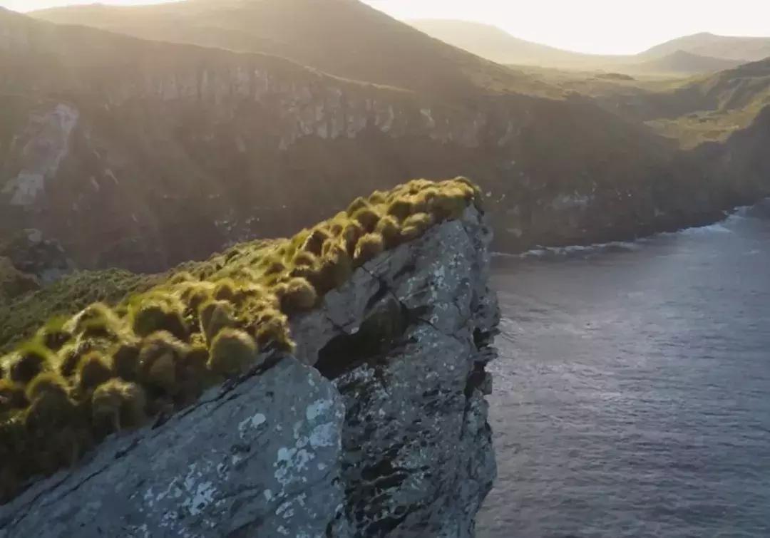 这个新西兰小岛，隐藏的惊世秘密