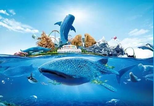 珠海高铁站到长隆海洋王国,珠海长隆海洋王国海底世界