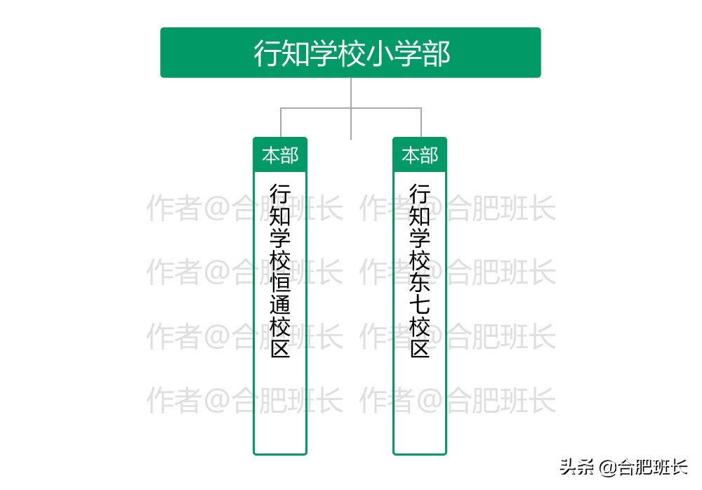 名校解读合肥行知学校,安徽省有哪些被低估的大学