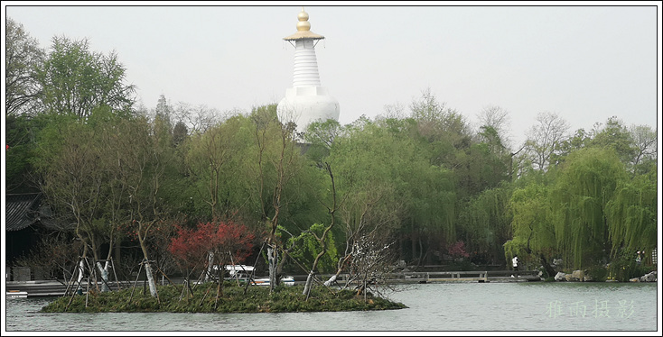 扬州夏日的瘦西湖风景,三月的扬州瘦西湖