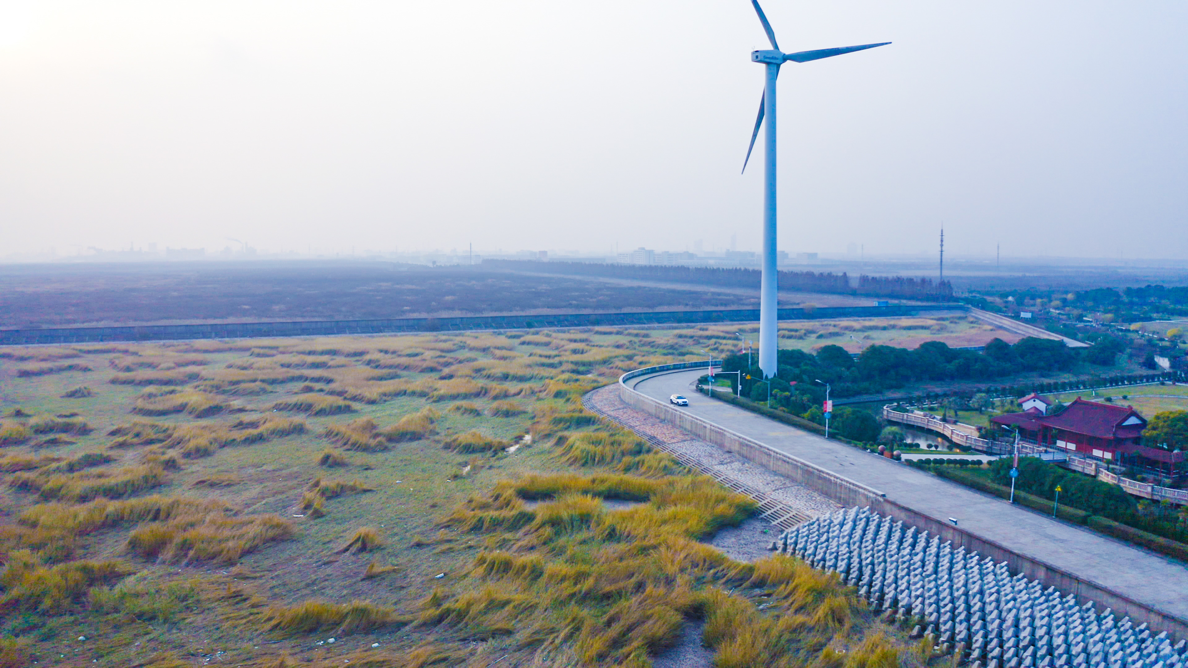 上海周边赶海一日游攻略,上海周边好玩的海边赶海在哪里