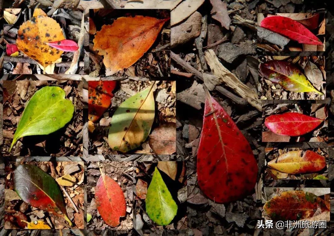 非洲最美自驾线路一生必去一次