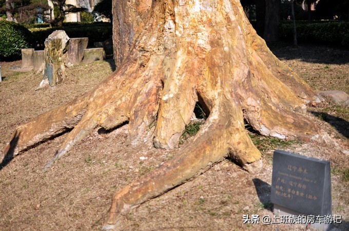南通狼山一日游详细攻略图,夏天南通狼山一日游详细攻略