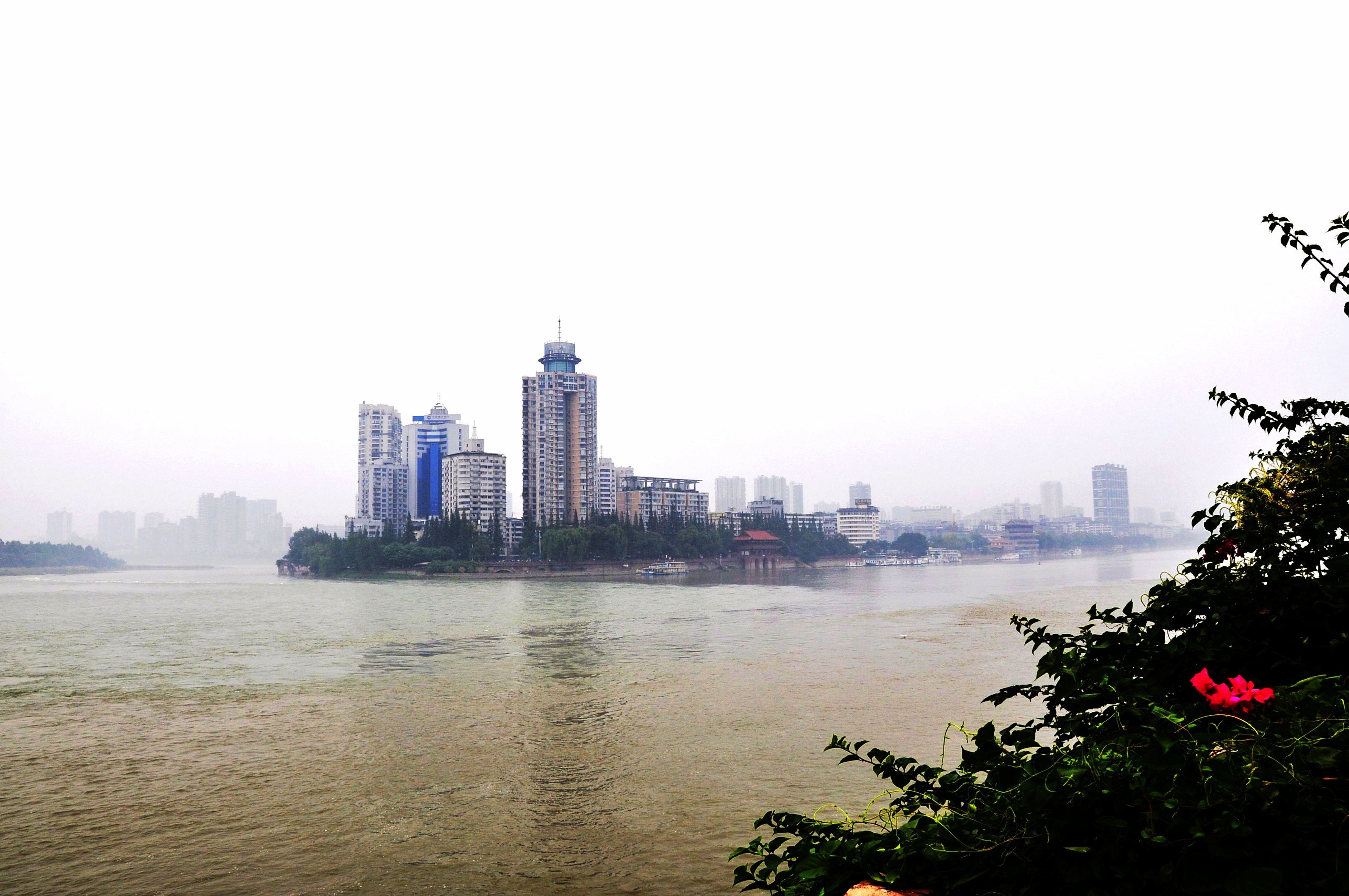 #2020生机大会#——好一个“乐”字令人神往