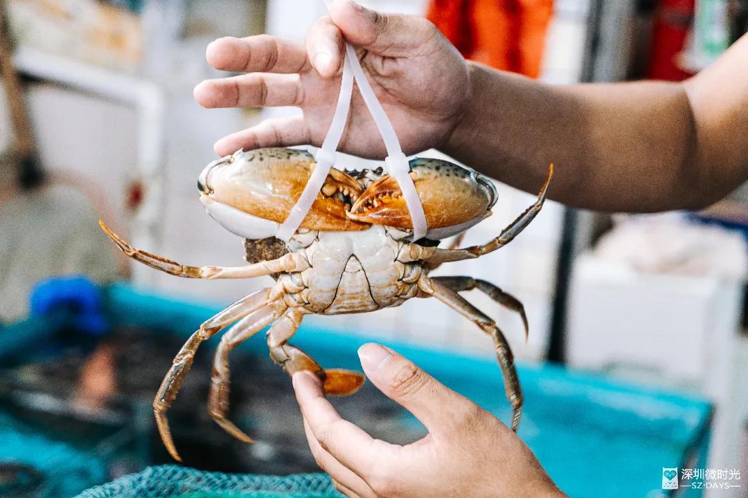 100元左右的海鲜,100元买的海鲜