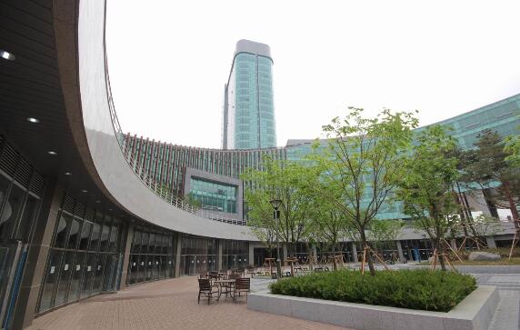 韩国大邱加图立大学怎么申请,韩国课程体系学校