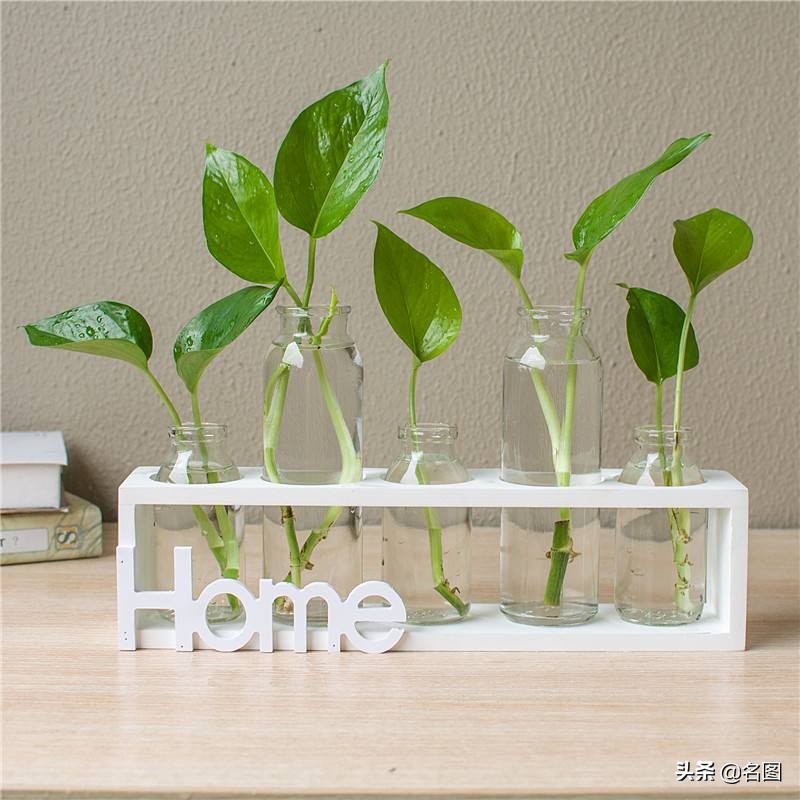 如何选择家居装饰品，都有哪些种类，具体什么功能