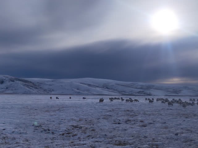 青海湖最美公路在哪,青海湖附近小众秘境