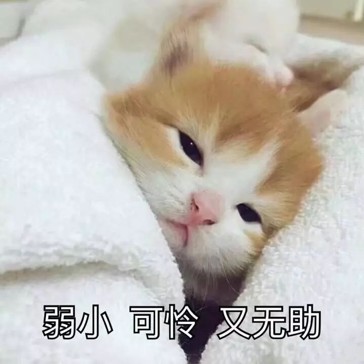 网红哪几款护肤品是最好用的,买过又鸡肋又后悔的网红护肤品