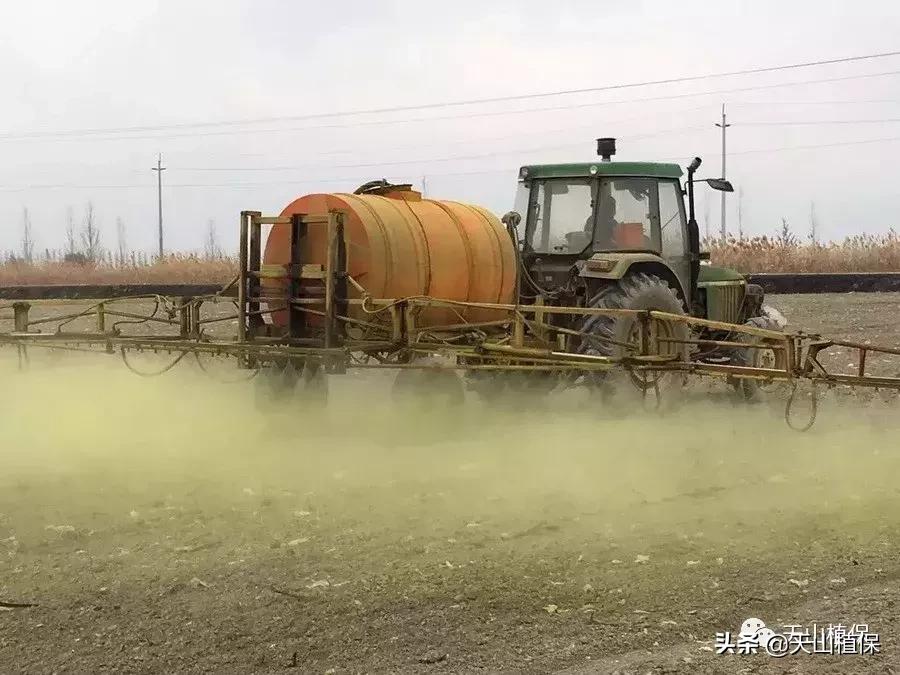 棉花除草剂常见药害的预防及解救,二甲双氟除草剂棉花药害怎么解除