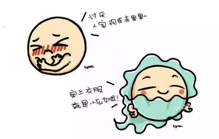 这件“外套”，人人都有过！