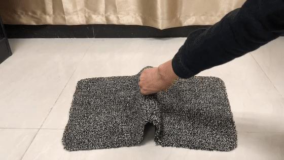 神奇的虎皮地毯,神奇宝贝的地毯