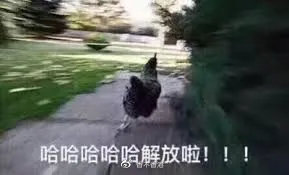 20Fall新生到港，隔离结束后先去办这5件事