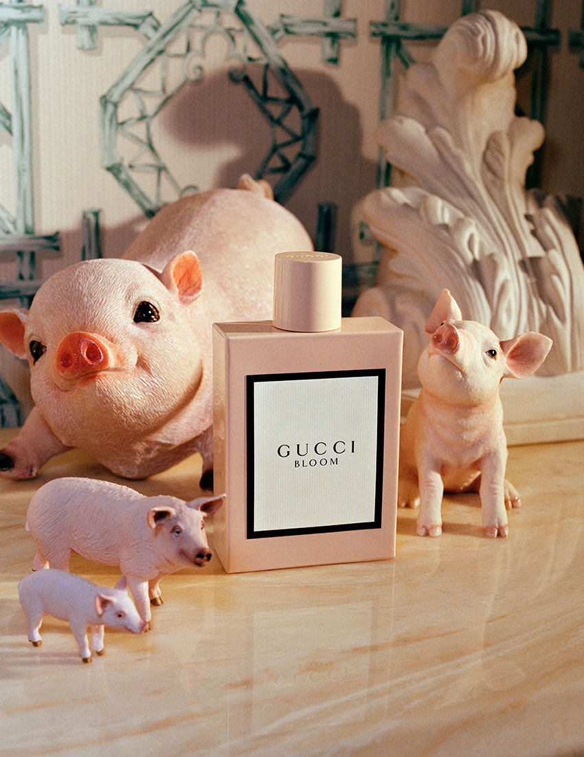 gucci飞猪西装,gucci小猪卫衣