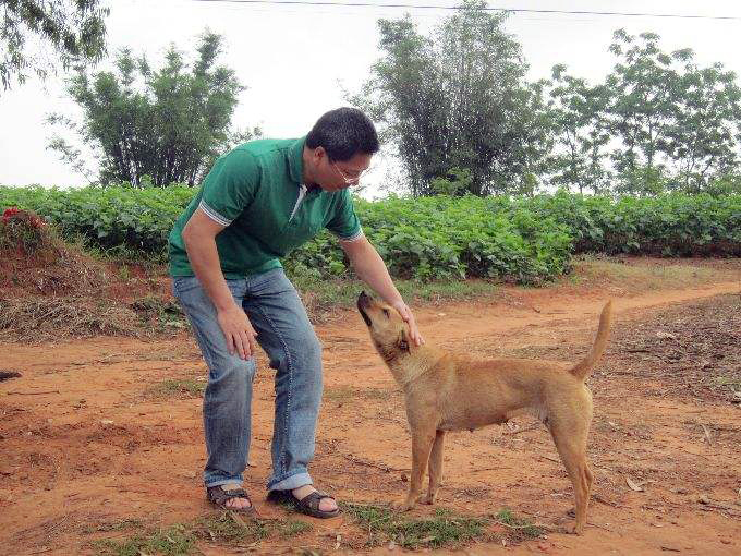 土狗不咬没见过面的家人,为什么农村的土狗不咬上门亲戚