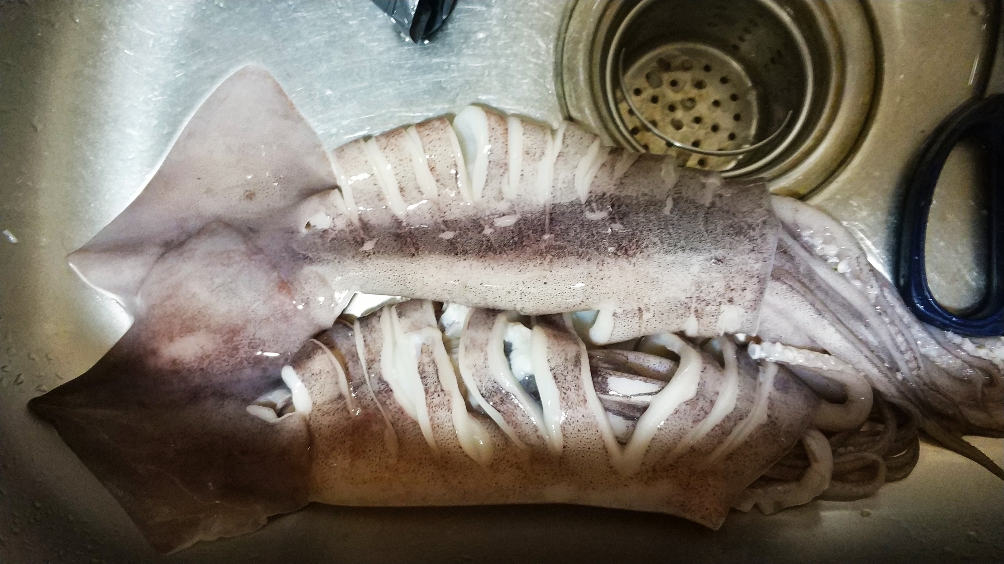 这样炒的鱿鱼脆嫩鲜香越吃越想吃,家常小炒鱿鱼鲜香美味下酒又下饭