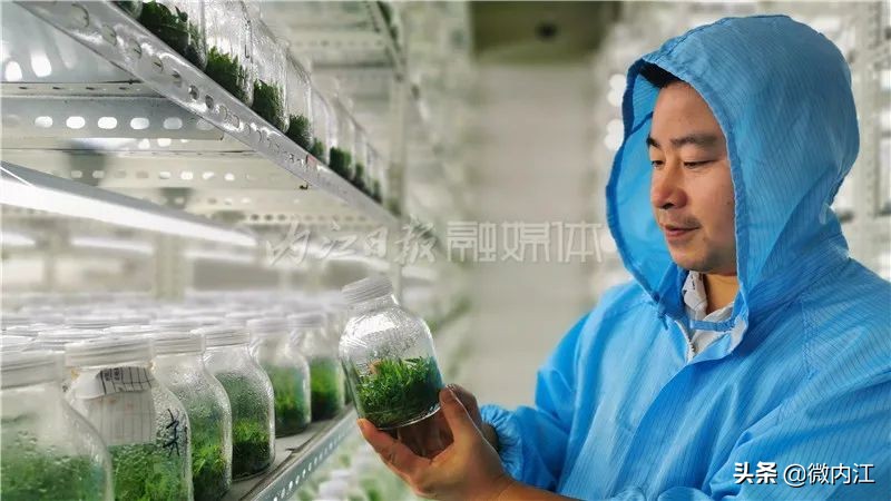 厉害发明专利,厉害了中国的技术